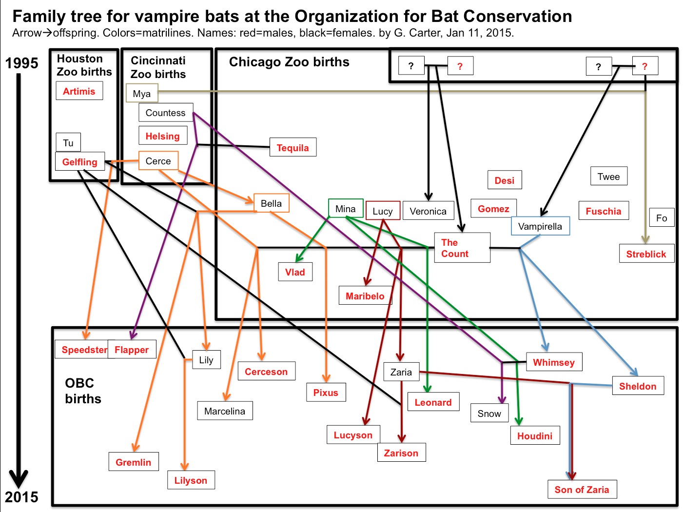 Zoo Organizational Chart